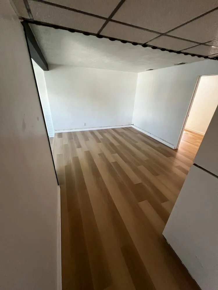 Carpentry 17 interior ceiling paint